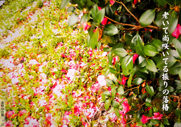 春季応募作品11