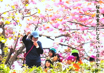 春季応募作品12