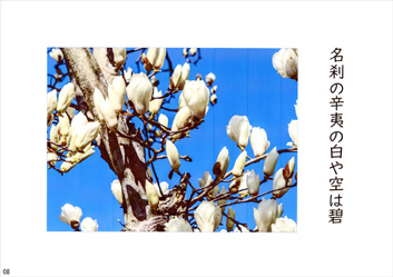 春季応募作品14