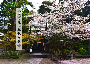 春季応募作品26