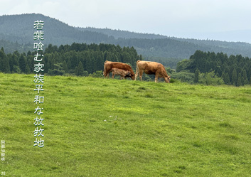 春季応募作品29