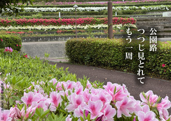 春季応募作品33