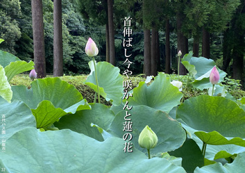 夏季応募作品38