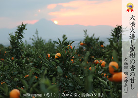 2020�ۑ�ʐ^-�~1