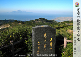 2021�ۑ�ʐ^-�~2