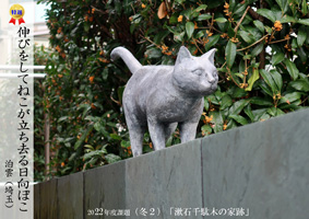 2022�ۑ�ʐ^-�~2