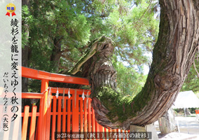 2023�ۑ�ʐ^-�H1