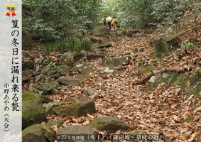 2023�ۑ�ʐ^-�~1