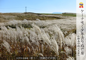 2024�ۑ�ʐ^-�H1