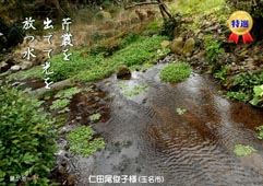 Ii